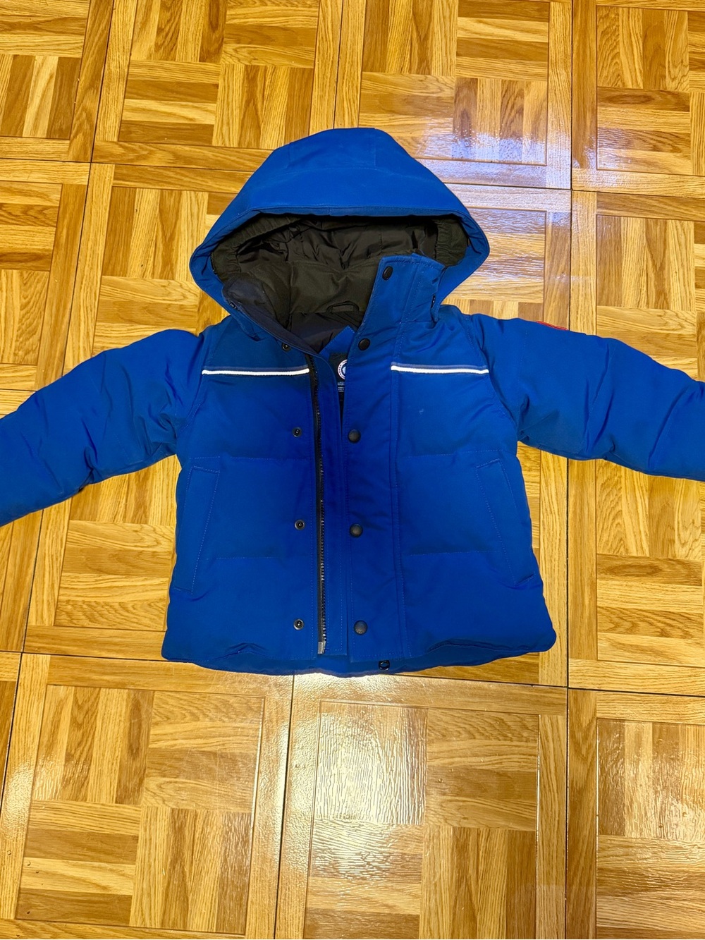 Canada Goose Royal Blue Kids Puffer Jacket with Hood